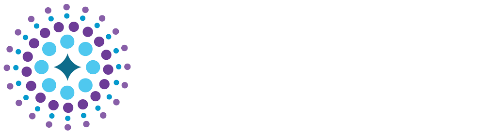 Net Plus Solutions